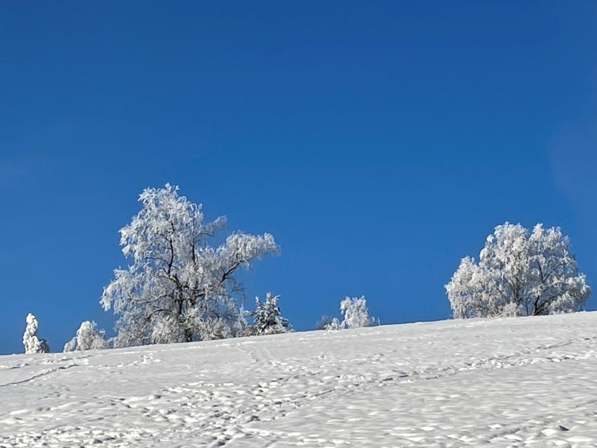 Appartementanlage Kerber Seefeld in Tirol Bagian luar foto